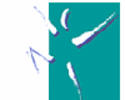 Dr. Brian Adams, Chiropractor