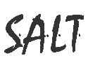 SALT Magazine